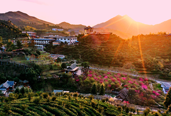 茶旅融合新范式！虔心小镇票务系统价格/功能全揭秘